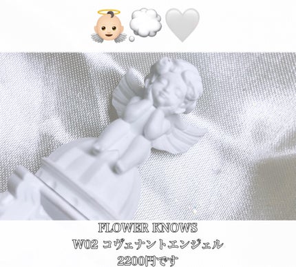 リトルエンジェルフェザーマットリップ/FlowerKnows/口紅を使ったクチコミ(2枚目)