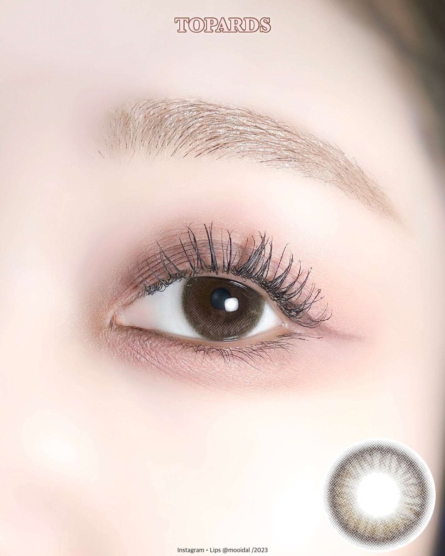 TOPARDS 1day/TOPARDS/ワンデー(1DAY)カラコンを使ったクチコミ(4枚目)