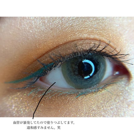 フラロッソ インテンソ アイシャドウ/アスタリフト/アイシャドウパレットを使ったクチコミ(8枚目)