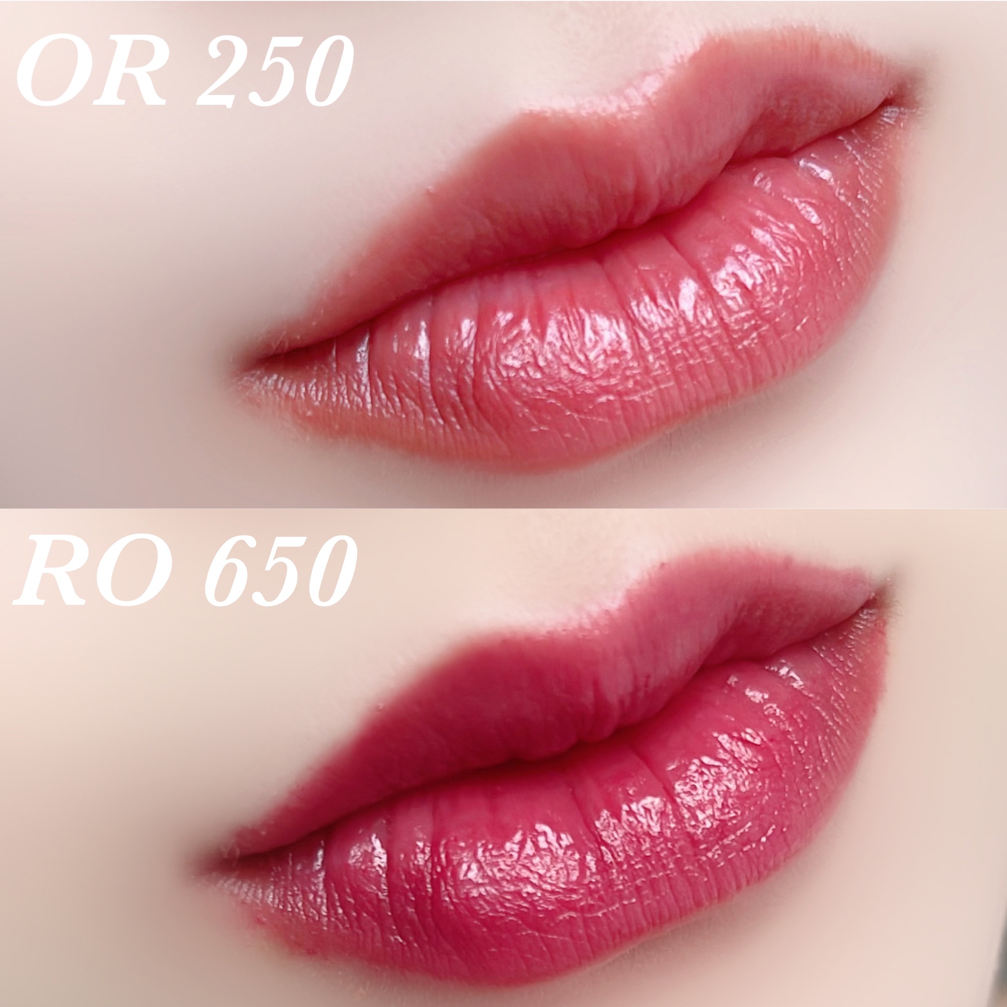 ネンマクフェイク ルージュ/Visée/口紅を使ったクチコミ（2枚目）