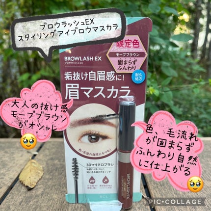 ブロウラッシュEX スタイリングアイブロウマスカラ モーブブラウン/ブロウラッシュ/眉マスカラを使ったクチコミ(1枚目)