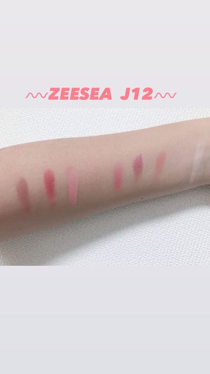 クォーツ 9色アイシャドウパレット(ドリームランドアイシャドウ)/ZEESEA/アイシャドウパレットを使ったクチコミ(4枚目)