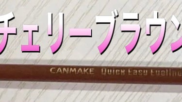 クイックイージーアイライナー/キャンメイク/リキッドアイライナーを使ったクチコミ（1枚目）