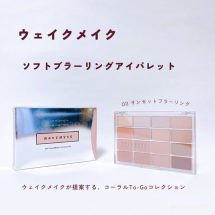 ソフトブラーリングアイパレット/wakemake/アイシャドウパレットを使ったクチコミ(1枚目)