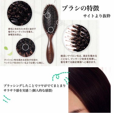 ヘッドスパ ブラシ ラ カスタの口コミ 溺愛ブラシラ カスタ ヘッドスパブラシへ By ゆかぴ 乾燥肌 30代後半 Lips ヘッドスパ ブラシ ラ カスタの口コミ 溺愛ブラシラ カスタ ヘッドスパブラシへ By ゆかぴ 乾燥肌 30代後半 Lips