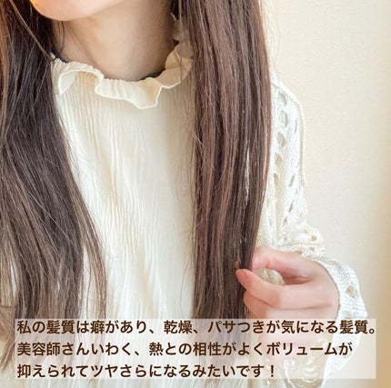 エリー on LIPS 「𓅰𓅰𓅰𓂃𓈒𓂂𓏸𓐍◌⋆꙳ヘアアイロンやコテの熱から髪を守る!..」(4枚目)