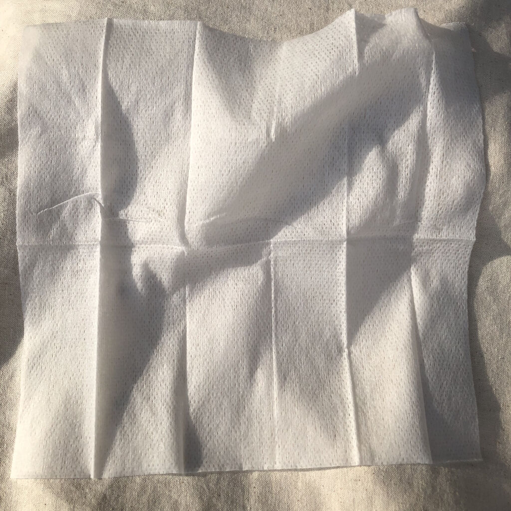 フレグランスボディシート ピュアシャンプーの香り/フィアンセ/ボディシートを使ったクチコミ（3枚目）