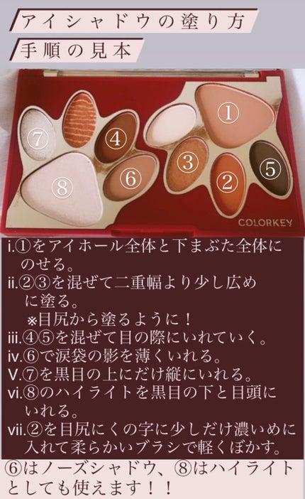 トラ十色アイシャドウパレット/COLORKEY/アイシャドウパレットを使ったクチコミ(3枚目)