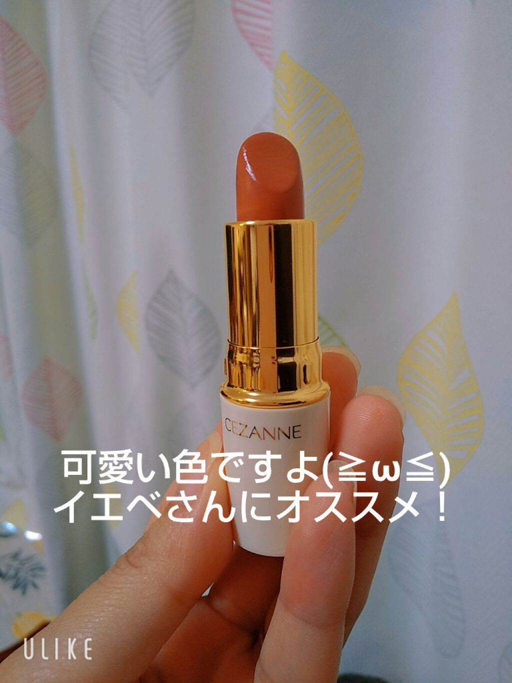 ラスティング リップカラーN/CEZANNE/口紅を使ったクチコミ(2枚目)