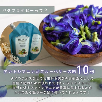 バタフライピーシャンプー/バタフライピーコンディショナー/TROPIKA/市販シャンプーを使ったクチコミ(3枚目)
