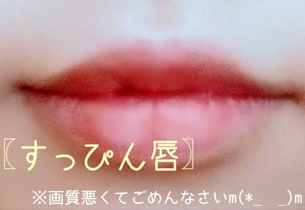 を使ったクチコミ(2枚目)