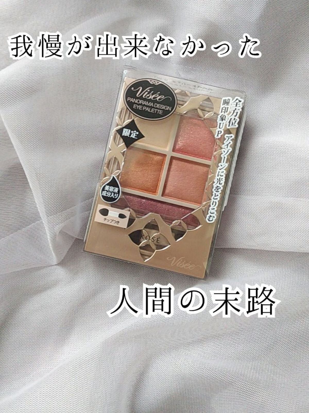パノラマデザイン アイパレット/Visée/アイシャドウパレットを使ったクチコミ(1枚目)