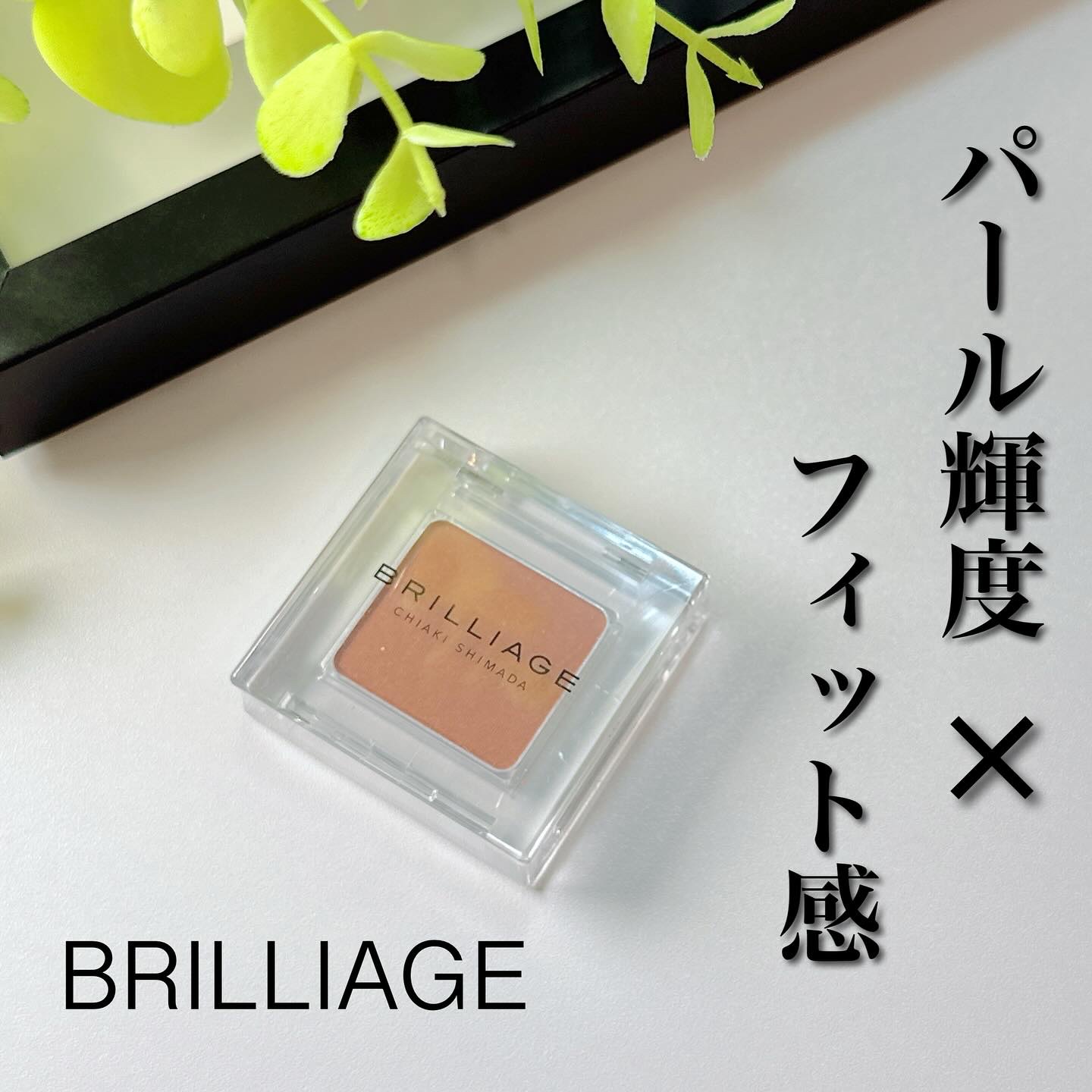 ワンダークリエイション フィキシングプライマー/ブリリアージュ/ジェル・クリームアイシャドウを使ったクチコミ（1枚目）