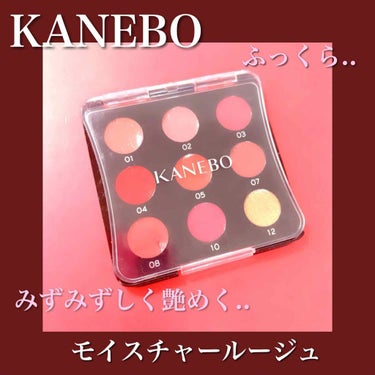 カネボウ モイスチャールージュ 02 Coral Pink/KANEBO/口紅を使ったクチコミ（1枚目）