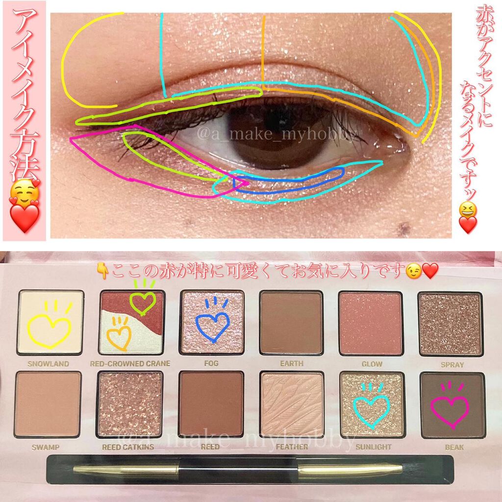 エクスプローラ12色 動物アイシャドウパレット/PERFECT DIARY/アイシャドウパレットを使ったクチコミ(5枚目)