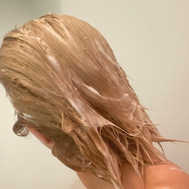 スティーブンノル ニューヨーク カラーコントロール シャンプー W/コンディショナー Wのクチコミ「縮毛してる上にブリーチ数回しているので流石に髪が…😭😭😭
しかも色落ちも早すぎてカラーする頻度.....」（3枚目）