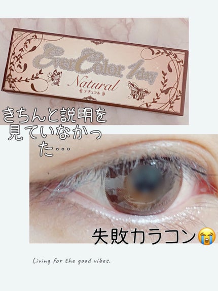 エバーカラーワンデー ナチュラル ナチュラルブラウン/エバーカラー/ワンデー(1DAY)カラコンの画像