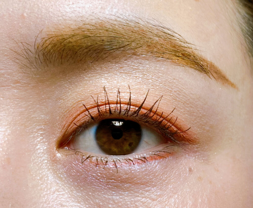 シングルカラーアイシャドウ/CEZANNE/単色アイシャドウを使ったクチコミ（2枚目）