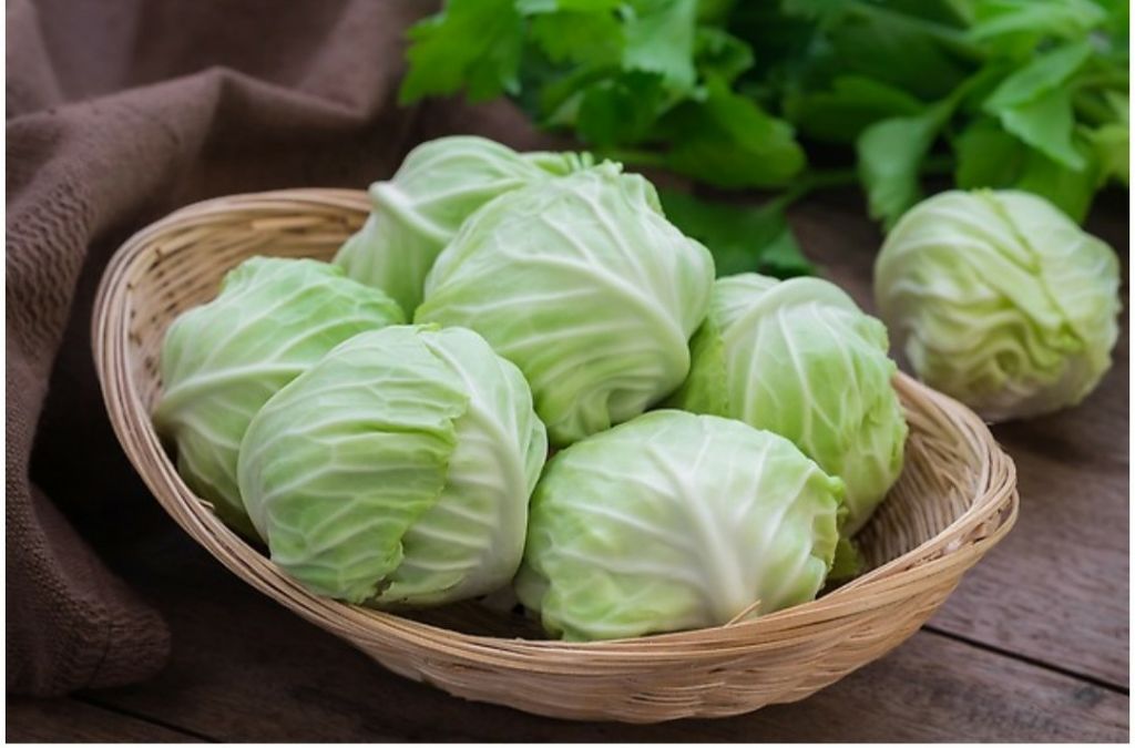 asami on LIPS 「#ダイエットにいい?#キャベツについて※注意#少し雑談あり。も..」(1枚目)