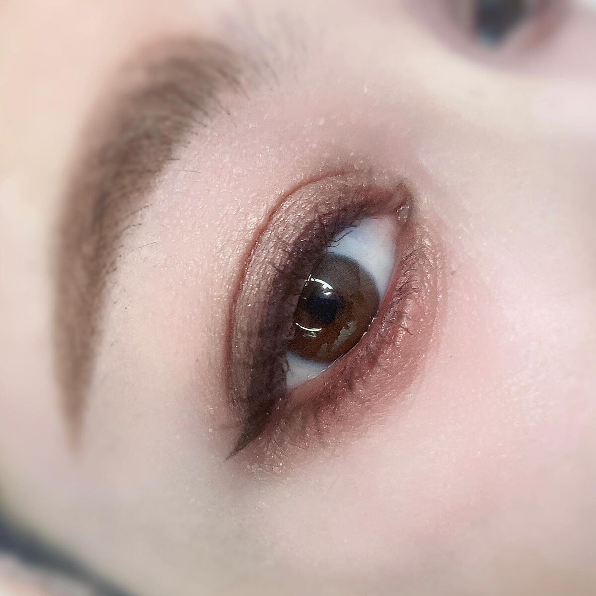 レ キャトル オンブル ツイード/CHANEL/アイシャドウパレットを使ったクチコミ（3枚目）