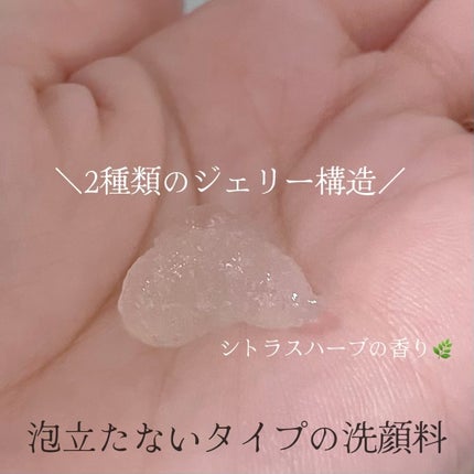 N organic Bright ホワイト クリア ジェルウォッシュ/N organic/その他洗顔料を使ったクチコミ(2枚目)
