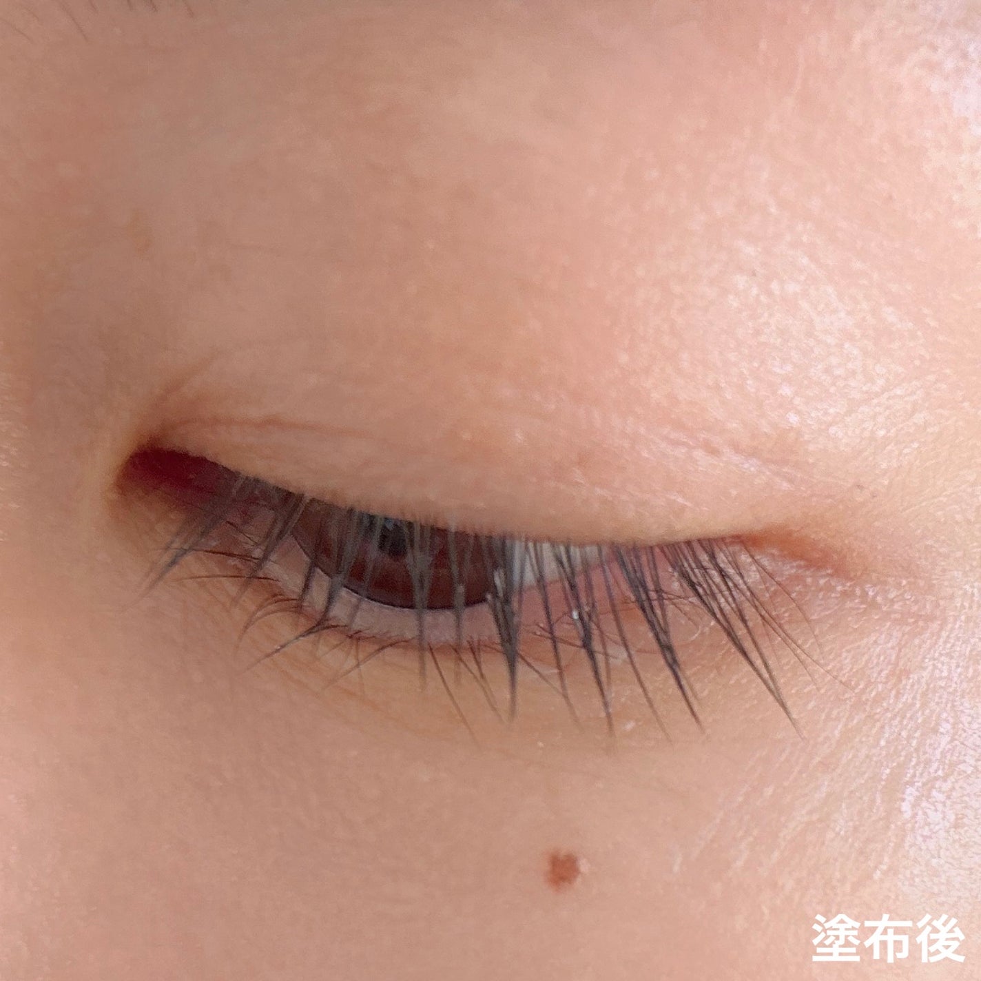 ラブ・ライナー オールラッシュ セラムR<まつげ美容液>/ラブ・ライナー/まつげ美容液を使ったクチコミ(6枚目)