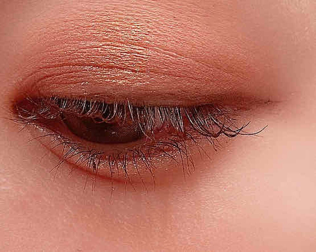 EyeShadow Palette Petit PRO/VISEART/アイシャドウパレットを使ったクチコミ(3枚目)