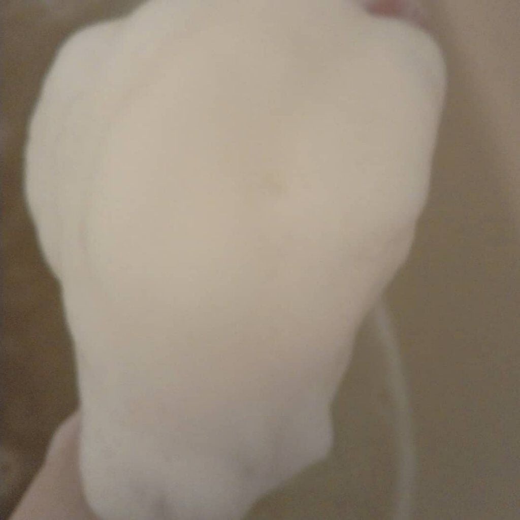 ウールアムール on LIPS 「洗顔石鹸大好きなわたし。長らく人気の理由が分かりました。ヴァー..」(4枚目)