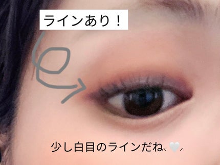 アンティークパステル ライナー/Visée/リキッドアイライナーを使ったクチコミ(6枚目)