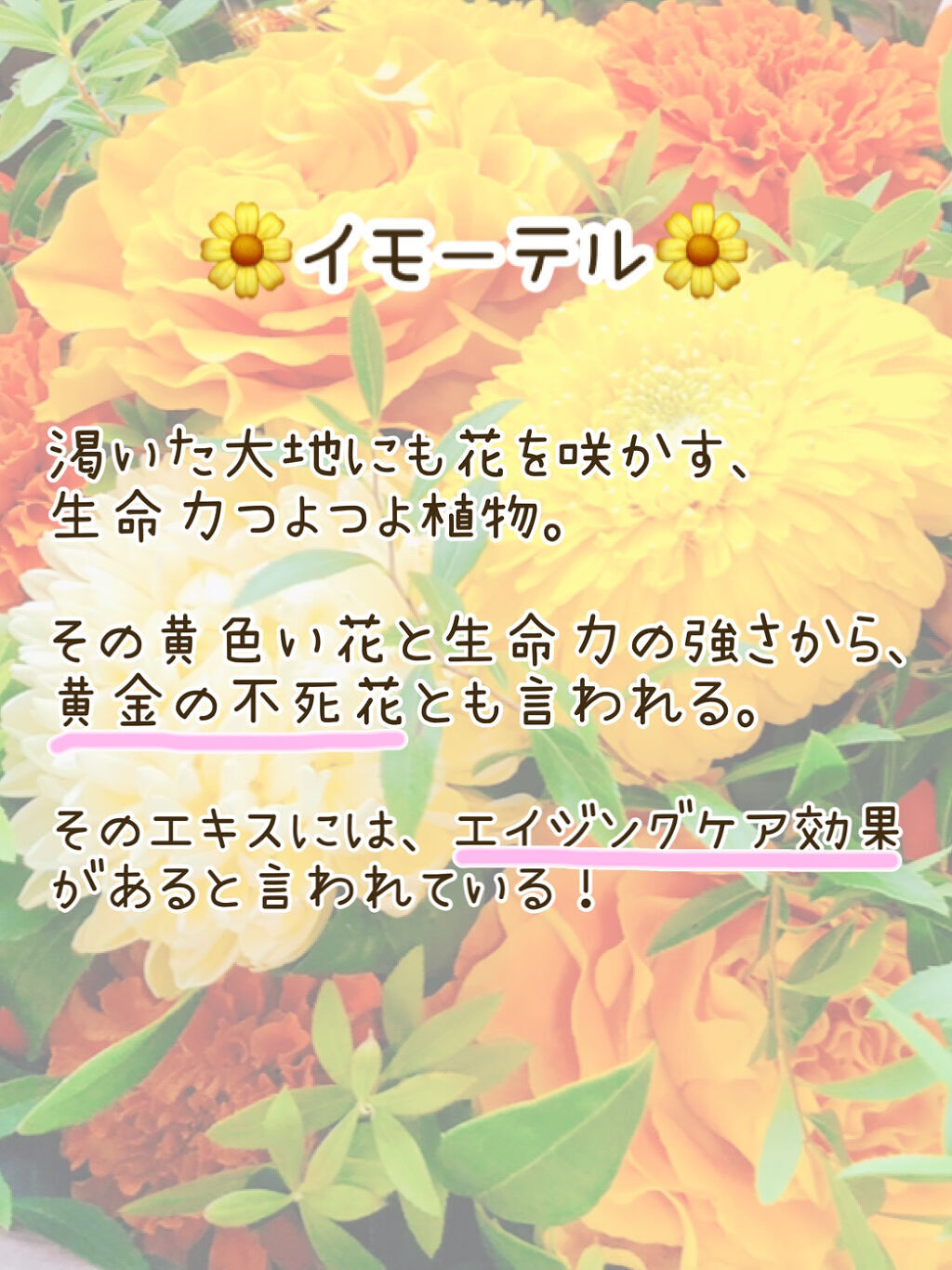 イモーテル オーバーナイトリセットセラム/L'OCCITANE/美容液を使ったクチコミ（3枚目）