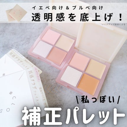 レイヤリングフェイスパレット/#CLOSET/パレットコンシーラーを使ったクチコミ(1枚目)