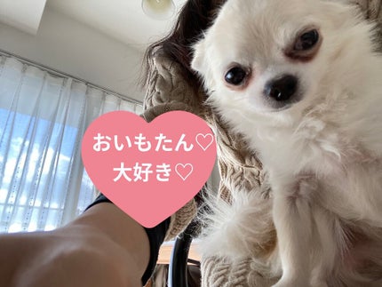 アイ カラー クォード/TOM FORD BEAUTY/アイシャドウパレットを使ったクチコミ(4枚目)