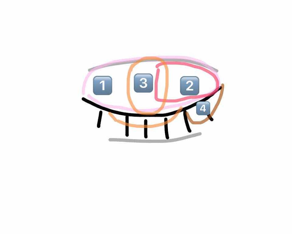 #CHOUCHOU(チュチュ)1day/CHOUCHOU/ワンデー(1DAY)カラコンを使ったクチコミ(3枚目)