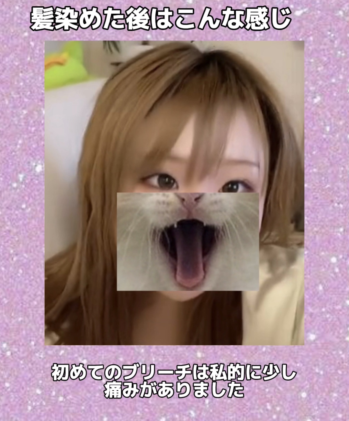 コンパクトスタイラー/TANGLE TEEZER/ヘアブラシを使ったクチコミ（3枚目）