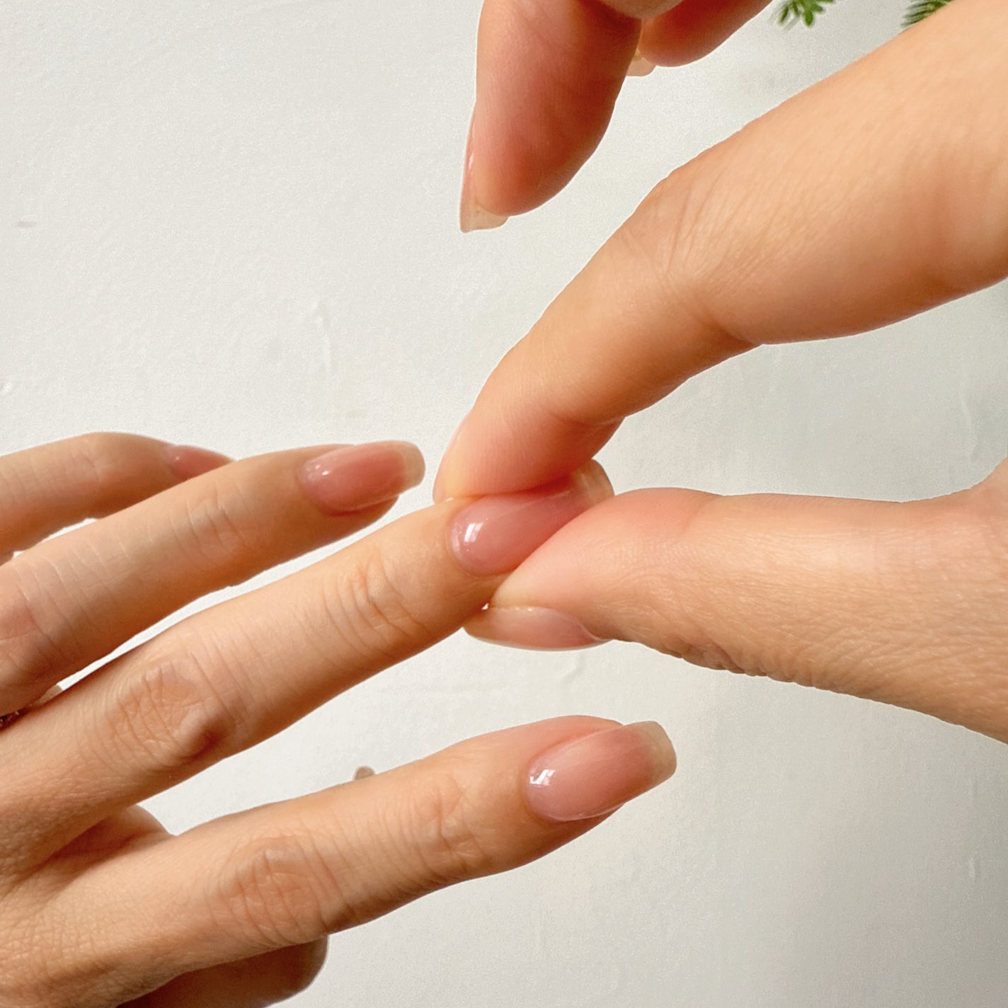 Lisaðââ¬æçš¿ãããã©ããð«¶ð» on LIPS ãæå
ã¯ãã®äººèªäœã®çŸããã衚ããŠãããšèšãããŠãŸãâð»ç§ã®#ã..ãïŒ7æç®ïŒ