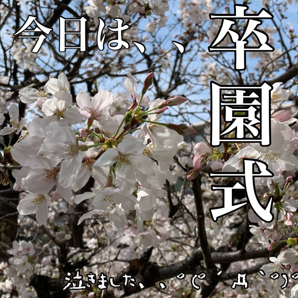 アイ カラー クォード/TOM FORD BEAUTY/アイシャドウパレットを使ったクチコミ（2枚目）