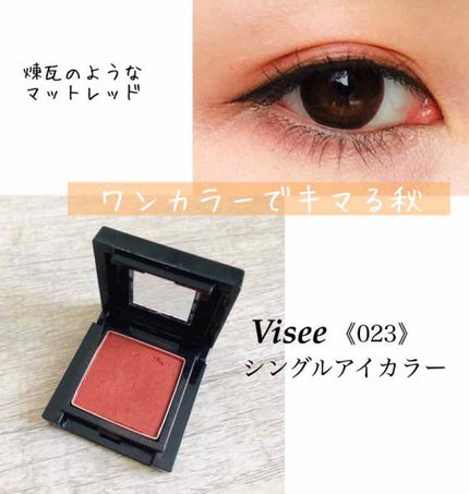 ヴィセ アヴァン シングルアイカラー/Visée/単色アイシャドウを使ったクチコミ(1枚目)