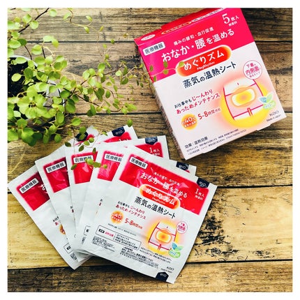 蒸気の温熱シート 下着の内側面に貼るタイプ/めぐりズム/その他を使ったクチコミ(2枚目)