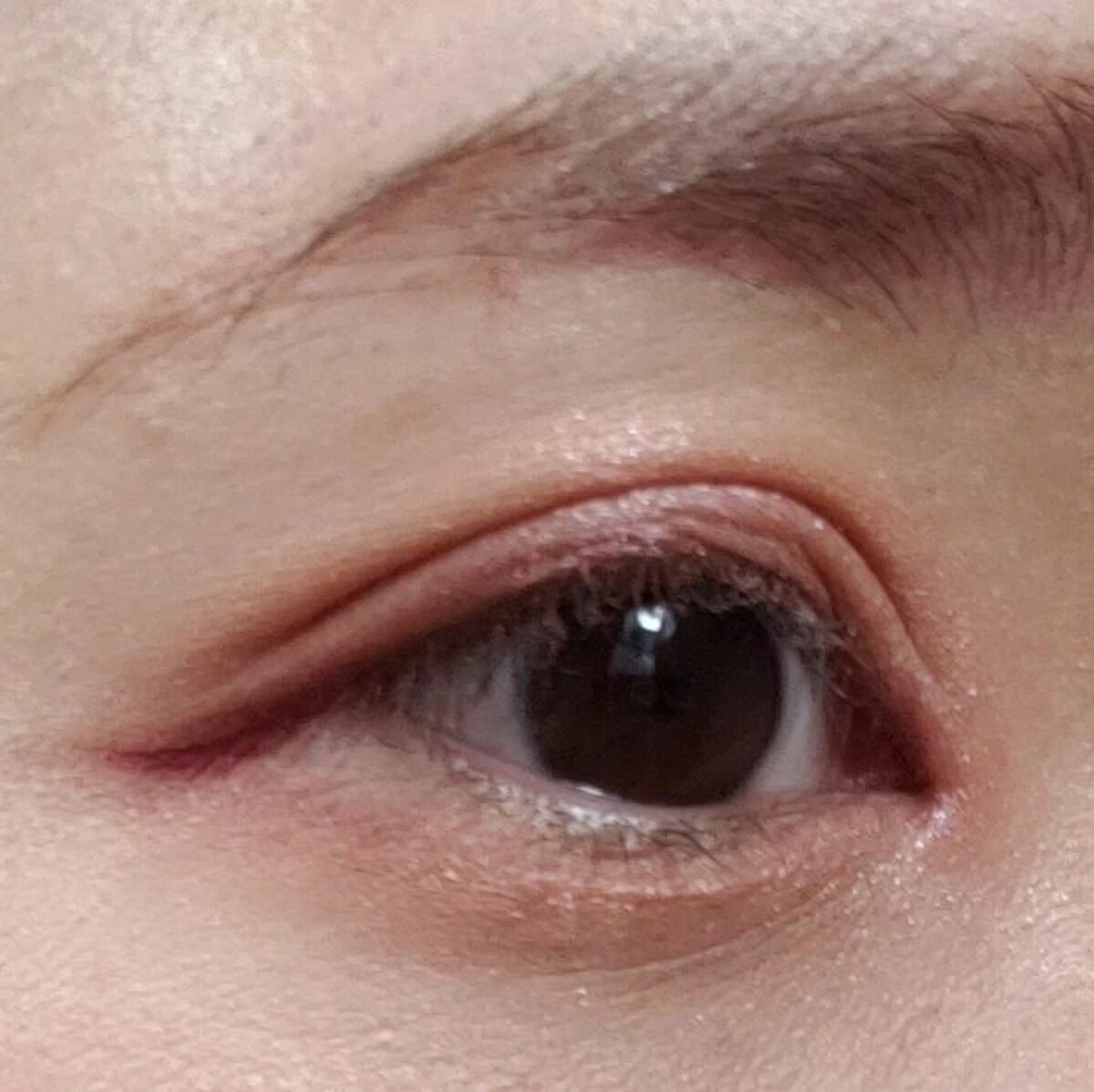 オブスキュア テンプテイション アイシャドウパレット/RMK/アイシャドウパレットを使ったクチコミ（1枚目）