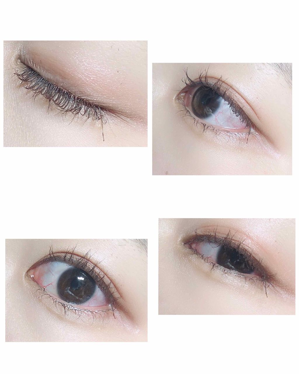 UR GLAM BLOOMING EYE COLOR PALETTE/U R GLAM/アイシャドウパレットを使ったクチコミ(3枚目)