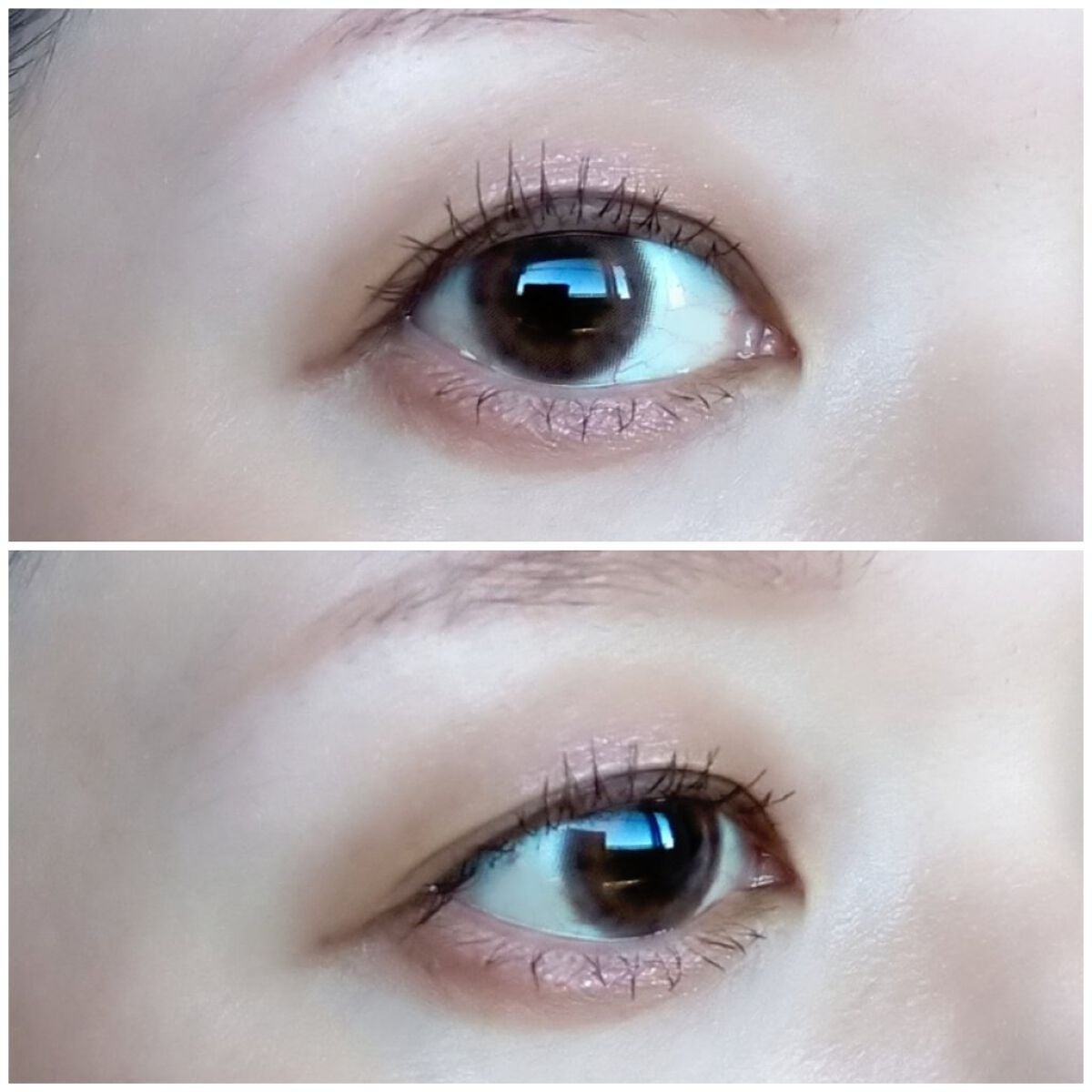 わんだふるアイカラー/KIREI FACTORY/アイシャドウパレットを使ったクチコミ(5枚目)