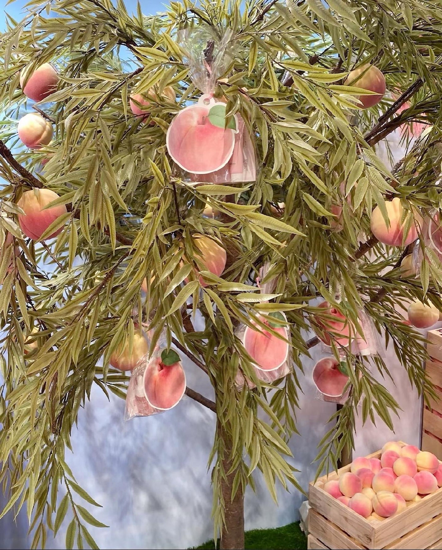 桃70%ナイアシンセラム/Anua/美容液を使ったクチコミ(4枚目)