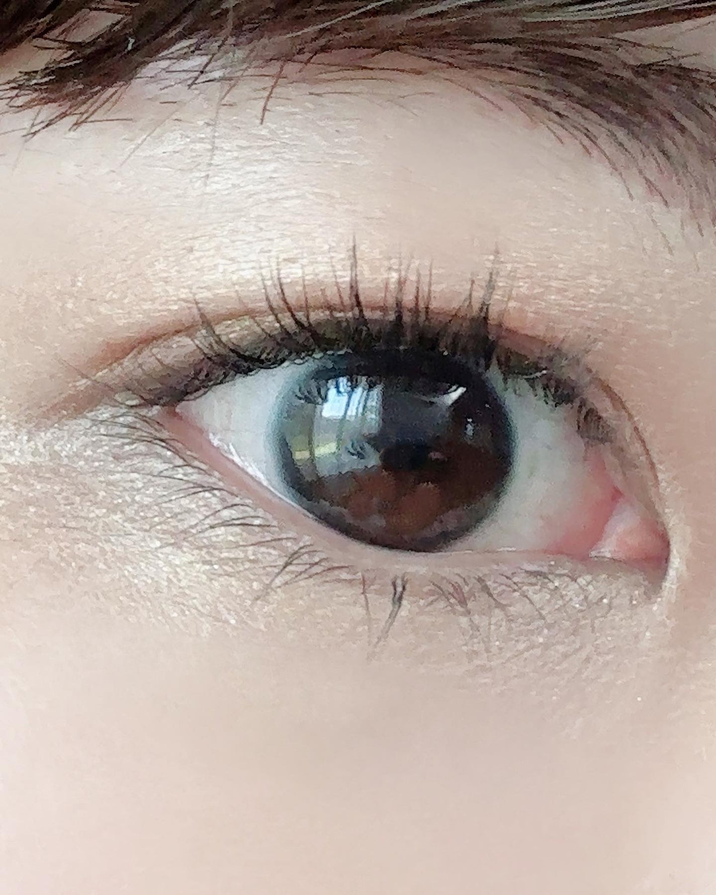 セルフまつ毛パーマキット/シルキーロールズ/その他キットセットを使ったクチコミ(6枚目)