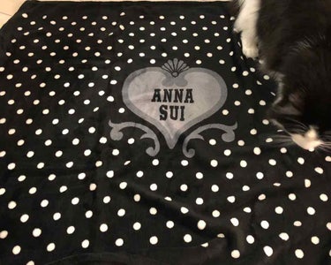 ルース パウダー/ANNA SUI/ルースパウダーを使ったクチコミ（2枚目）