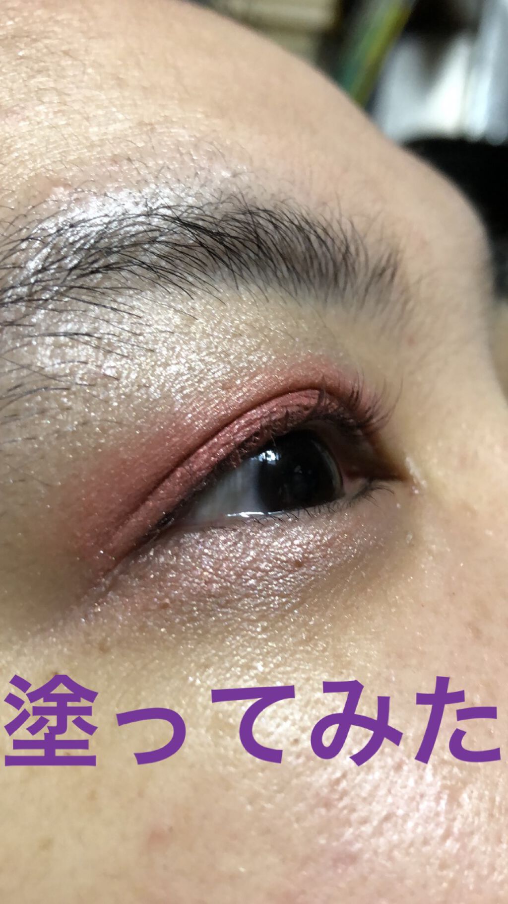 ロイヤルヴィンテージ アイズ 019 メープルコーラル/リンメル ロンドン/アイシャドウパレットを使ったクチコミ（3枚目）