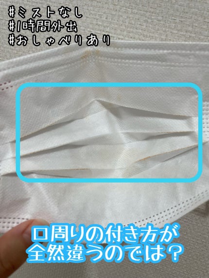 メイク キープ ミスト EX/コーセーコスメニエンス/フィックスミストを使ったクチコミ(5枚目)