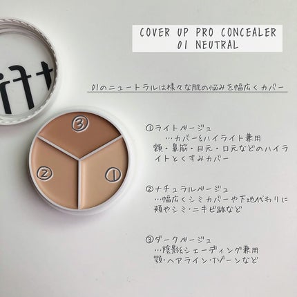 カバーアッププロコンシーラー/TFIT/パレットコンシーラーを使ったクチコミ(3枚目)