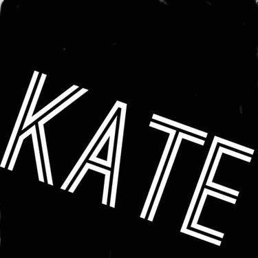 ヴィンテージモードアイズ/KATE/アイシャドウパレットを使ったクチコミ（1枚目）