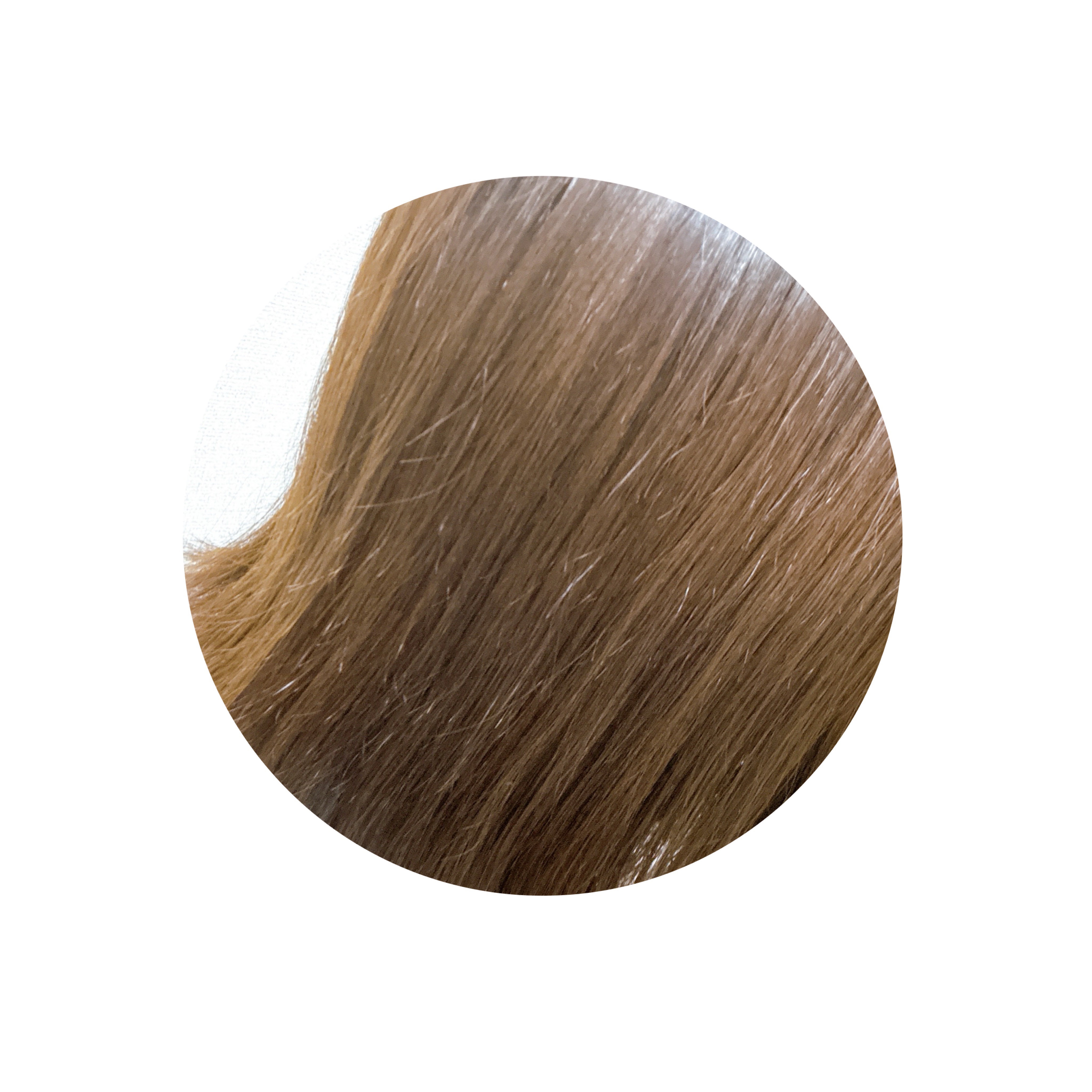 ボタニカルシャンプー/トリートメント　キンモクセイ＆フィグの香り（モイスト）/BOTANIST/市販シャンプーを使ったクチコミ（2枚目）