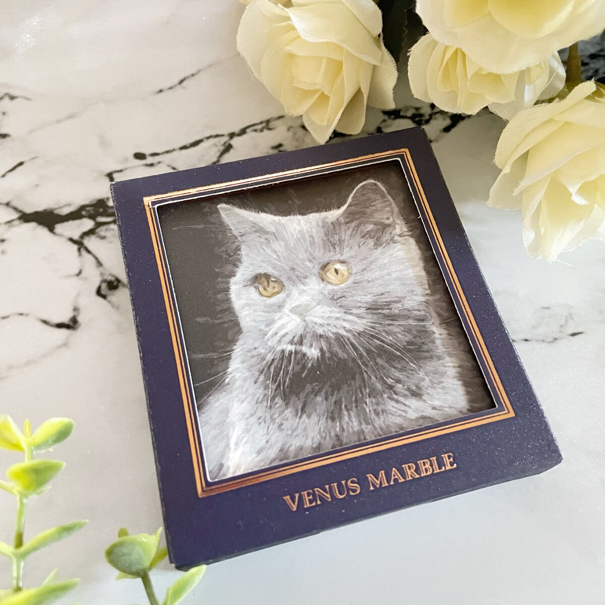 Venus Marble アイシャドウキャットシリーズ/Venus Marble/アイシャドウパレットを使ったクチコミ（2枚目）
